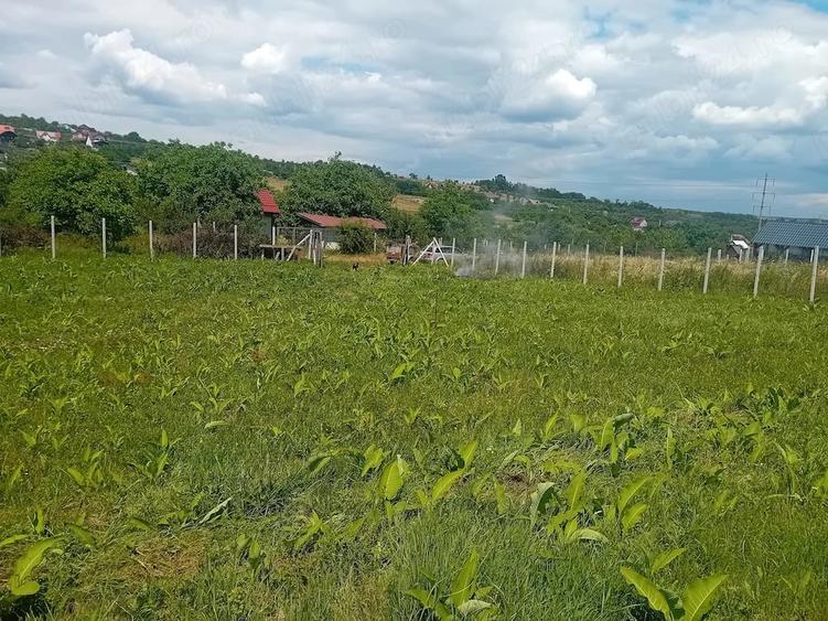 Teren de 500 mp, în Daia