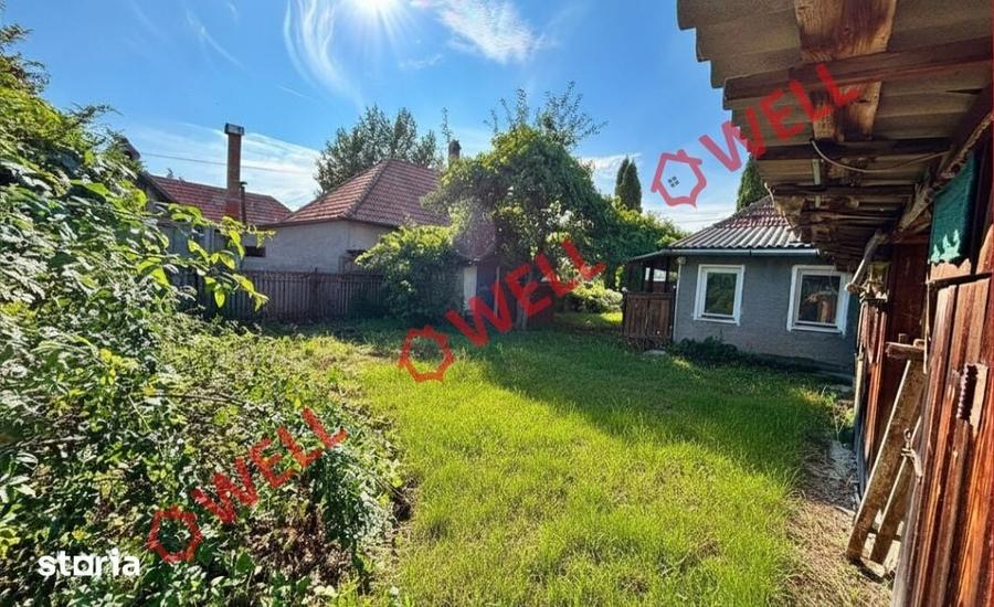 Casă cu Teren 8000 Mp în Cernat