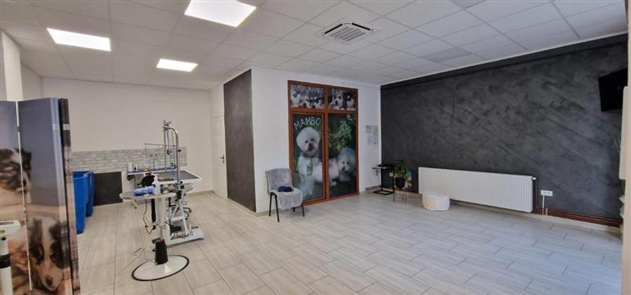 Spațiu comercial, de 50 mp, în Central