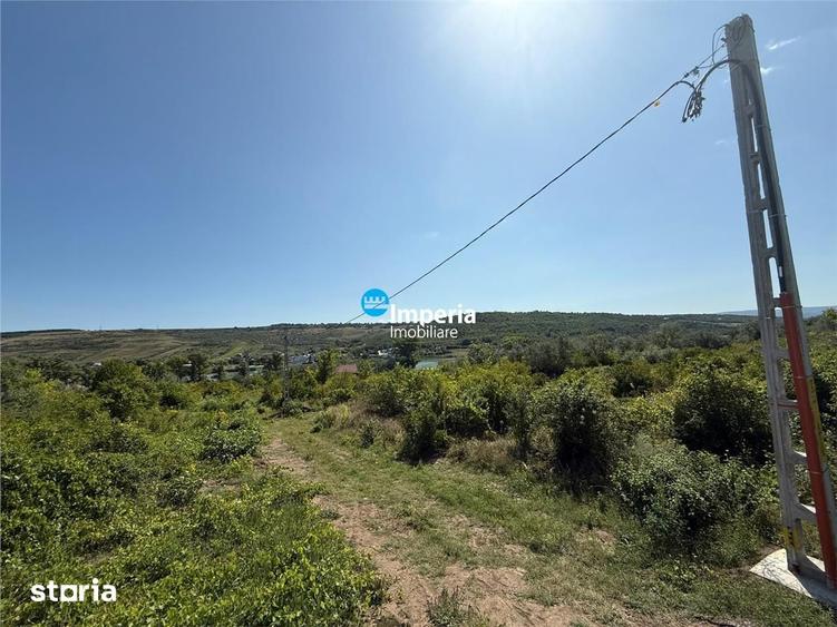Teren de 5000 mp, în Aroneanu