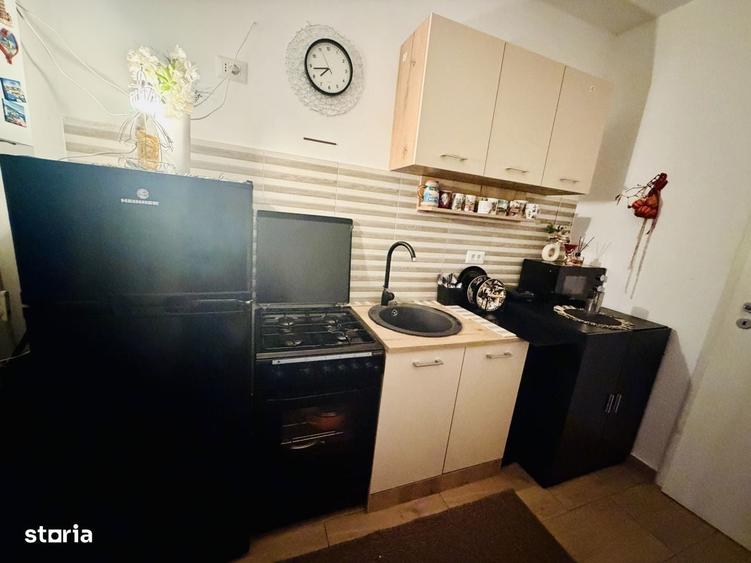 Apartament 2 camere Str Tineretului mobilat si utilat complet zona lin - 12