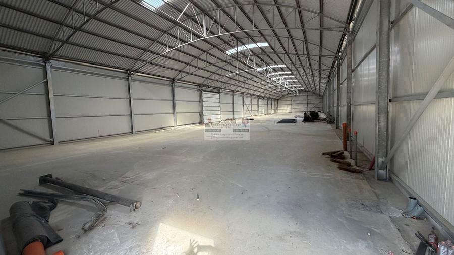 Spațiu industrial, de 1,000 mp, în Cuza Vodă