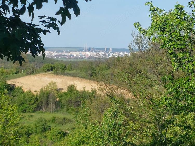 Teren de 4900 mp, în Leamna de Sus
