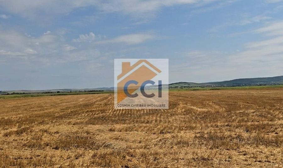 Teren în Central