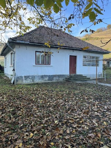 Casă cu 2 camere în Central