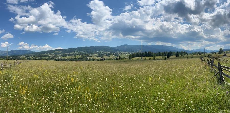 Teren Construcții intravilan de 21000 mp, în Neagra Șarului