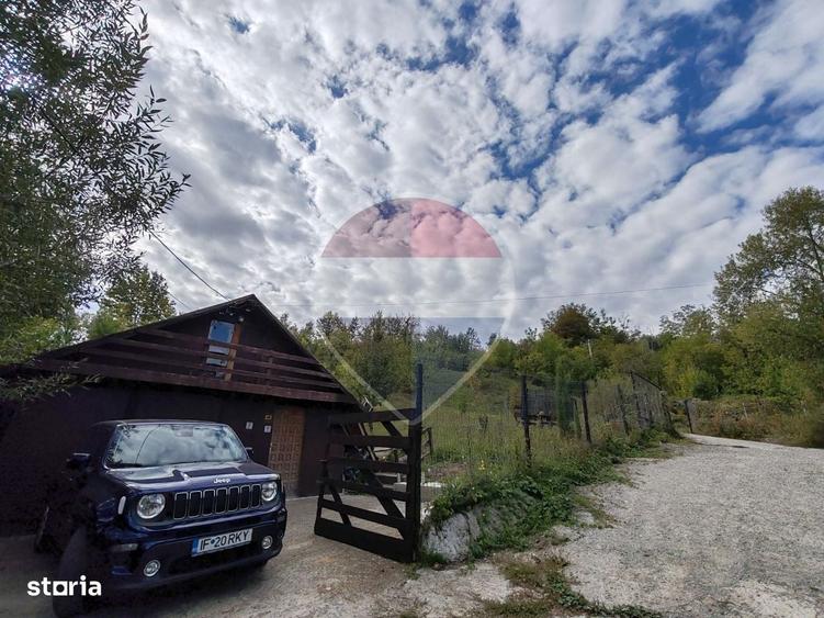 VANZARE Teren intravilan in Provita de Jos - 6