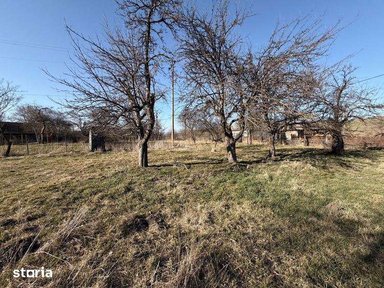 Casă cu 2 camere cu Teren 1605 Mp în Boroșneu Mare