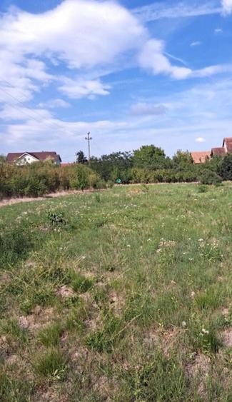 Teren de 3000 mp, în Mândruloc