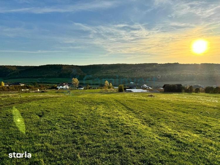 Teren de vanzare in Betfia, 5487 mp intravilan, Bihor, Gaminvest-V4571 - 7