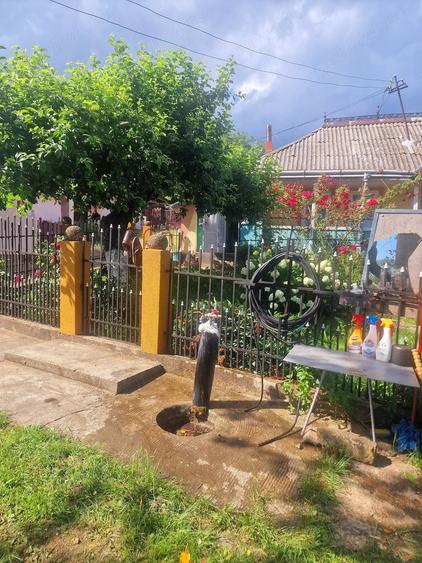 Casă cu 3 camere cu Teren 3682 Mp în Exterior Vest