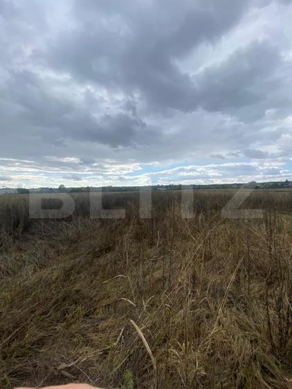 Teren agricol extravilan de 2500 mp, în Lucieni