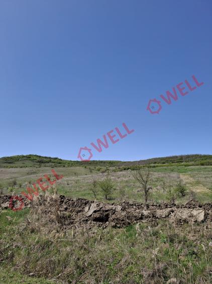 Teren agricol extravilan de 60000 mp, în Agrișteu