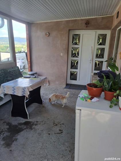 Casă cu 3 camere în Mogoșești
