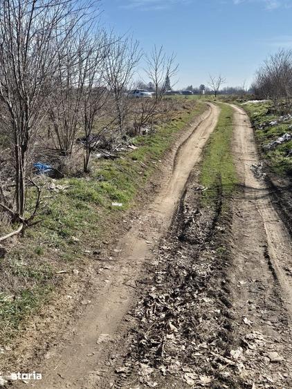 Trestieni - Ulmi, vanzare teren 1.663mp, intravilan - 7