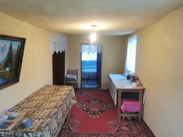 Casă cu 4 camere cu Teren 7000 Mp în Argetoaia
