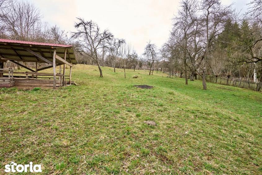 Casă cu 4 camere cu Teren 4213 Mp în Nucșoara