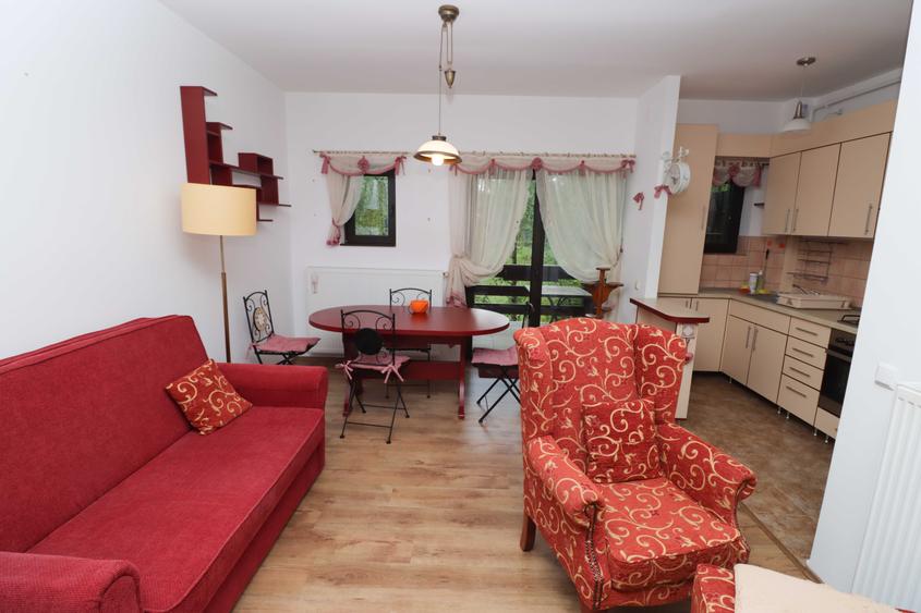 Apartament cu 2 camere semidecomandat în Piatra Arsă