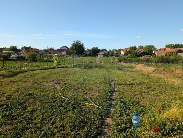 Casă cu 4 camere în Poiana Mare
