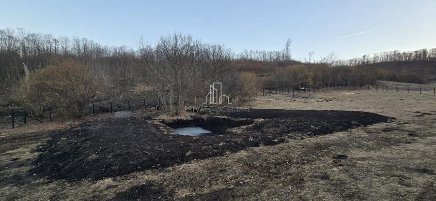 Teren agricol extravilan de 20 mp, în Daneș