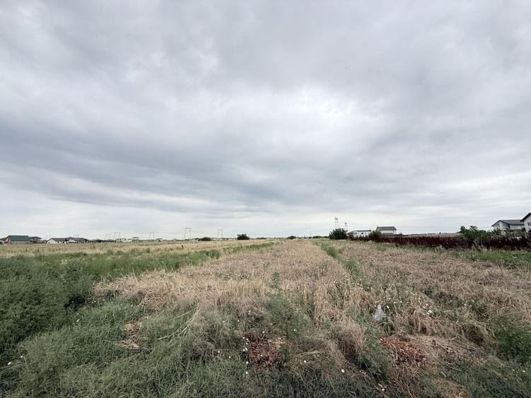 Teren Construcții intravilan de 5000 mp, în Berceni