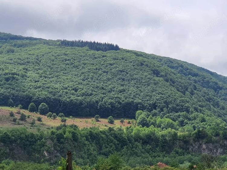 Teren de 115000 mp, în Bălnaca
