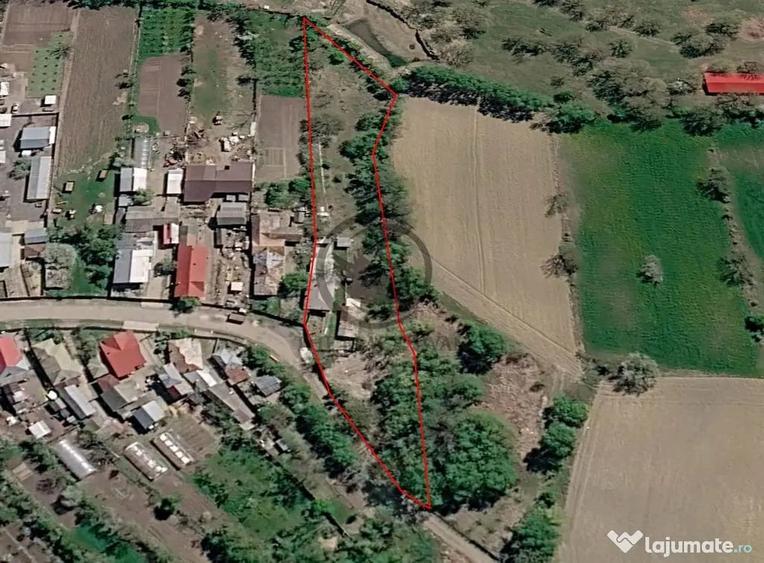 Casă cu 2 camere cu Teren 2846 Mp în Coada Izvorului