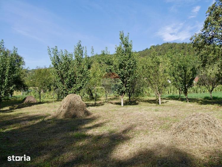 Casă cu 2 camere cu Teren 3003 Mp în Vințu de Jos