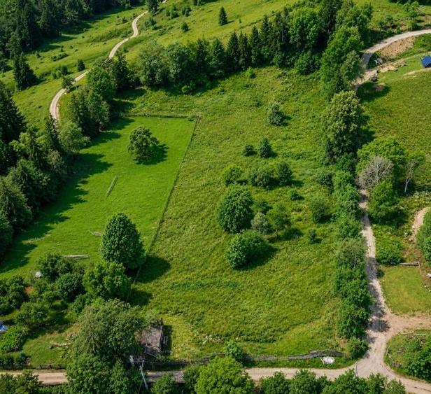 Teren intravilan de 9994 mp, în Hangu