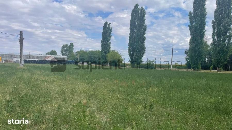 Spațiu comercial, în Cermei