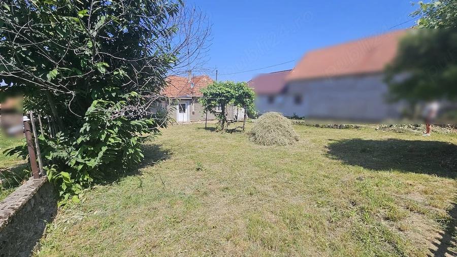 Casă cu Teren 8000 Mp în Zece Hotare