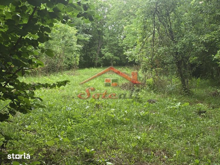 Teren intravilan de vanzare in Cornu de Sus 1.363 mp fara inclinatie - 1