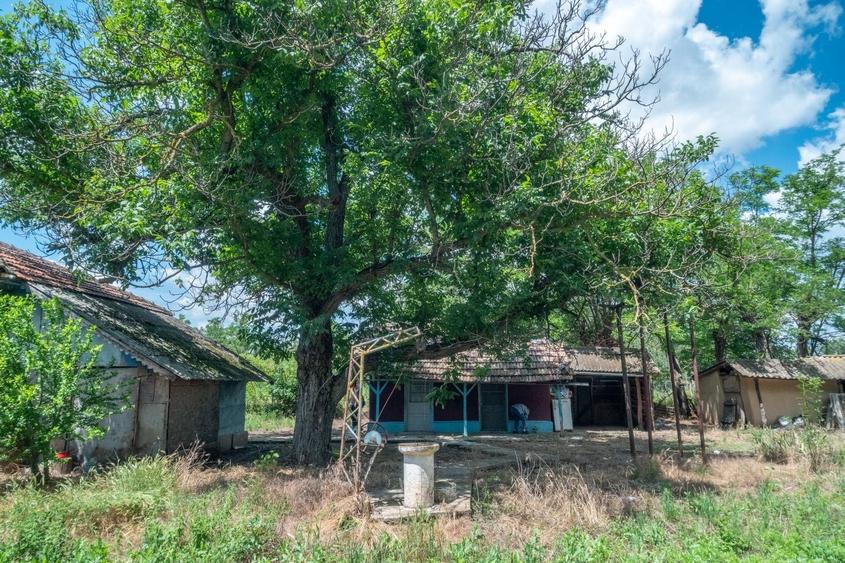 Casă cu 3 camere în Sohatu