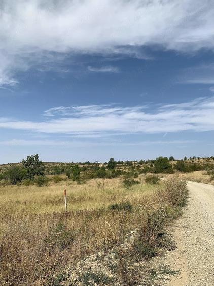Teren de 1227 mp, în Săldăbagiu de Munte