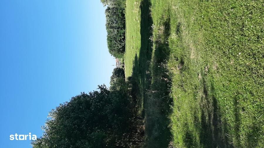 Teren de 14587 mp, în Central