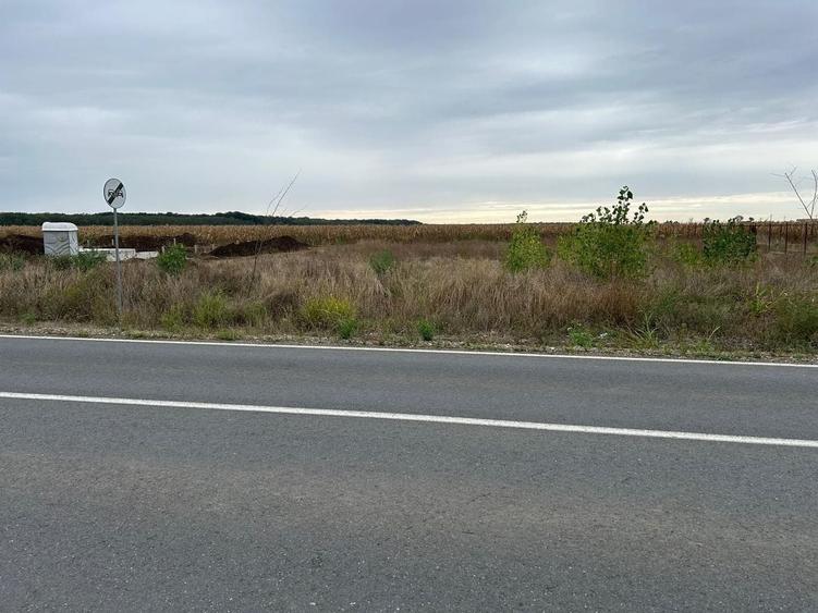 Teren Construcții intravilan de 794 mp, în Moara Vlăsiei