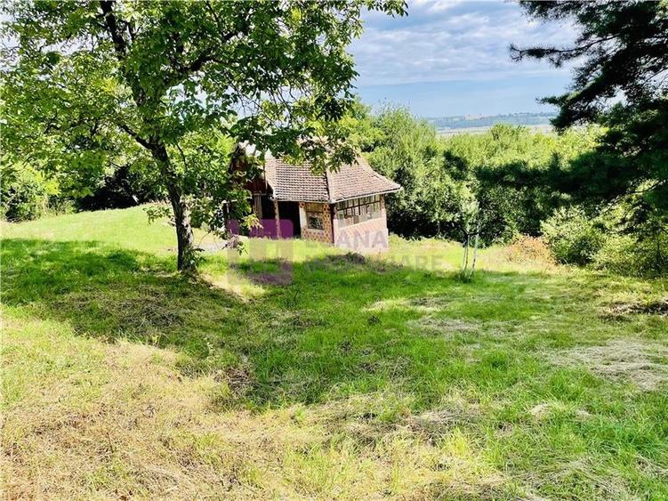 Teren Construcții intravilan de 3581 mp, în Vale