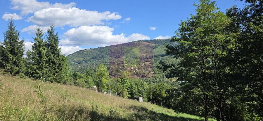 Teren Construcții intravilan de 1825 mp, în Valea Doftanei