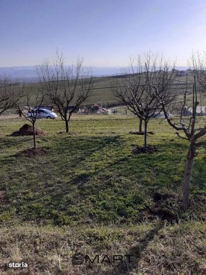 Teren de 550 mp, în Șura Mare