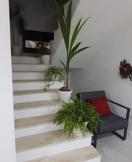 Casă cu 3 camere cu Teren 588 Mp în Freidorf
