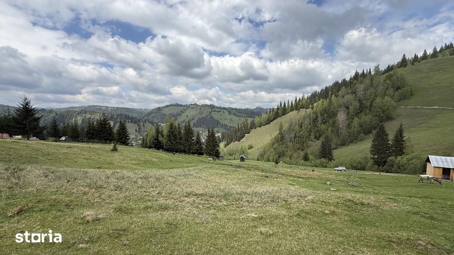 Teren de 16230 mp, în Fundu Moldovei