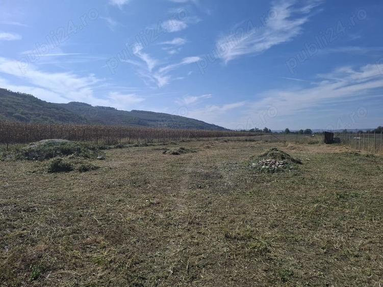 Teren de 8700 mp, în Livada (Iclod)