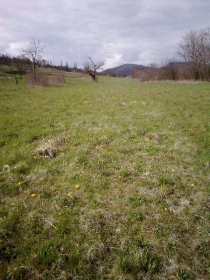 Teren agricol extravilan de 27500 mp, în Geoagiu-Băi