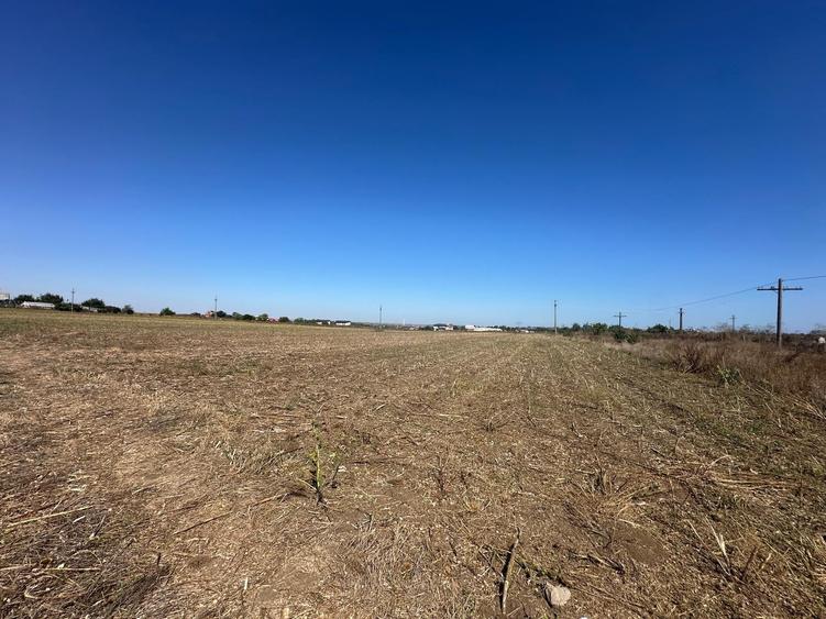 Teren Construcții extravilan de 10000 mp, în Tuzla