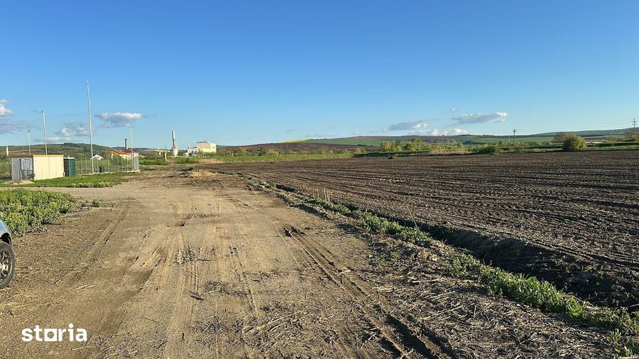 Teren de 10000 mp, în Târnăveni