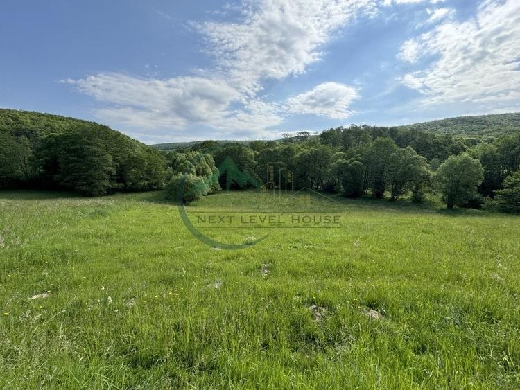 Teren Construcții extravilan de 2900.0100097656 mp, în Lisnău-Vale