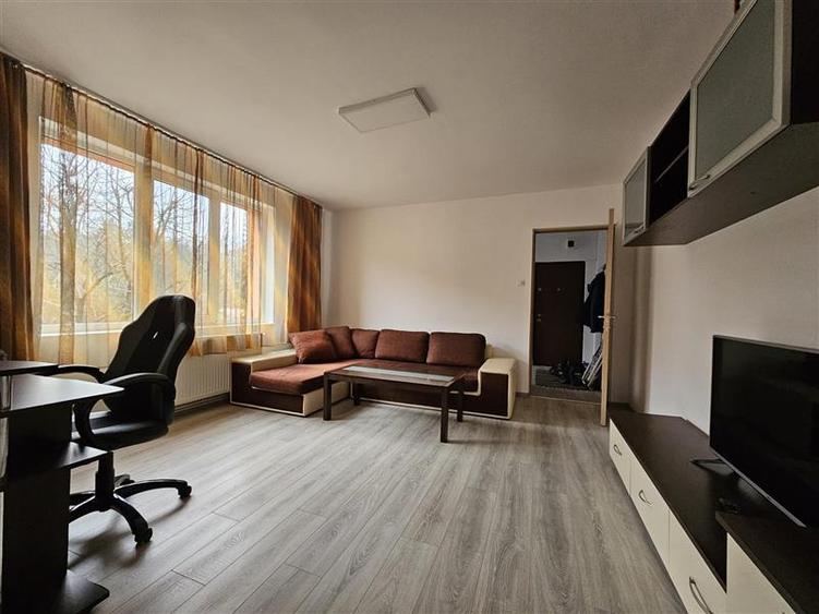 Apartament cu 2 camere semidecomandat în Cornișa