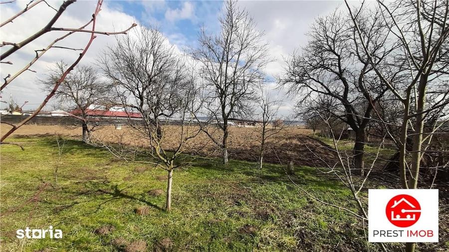 Teren de 11200 mp, în Sâncraiu de Mureș