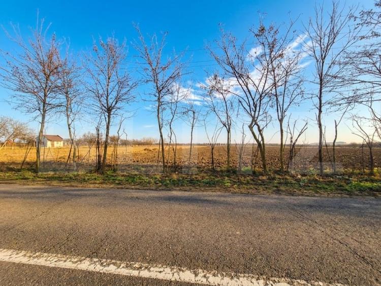 Teren Construcții intravilan de 2500 mp, în Nord