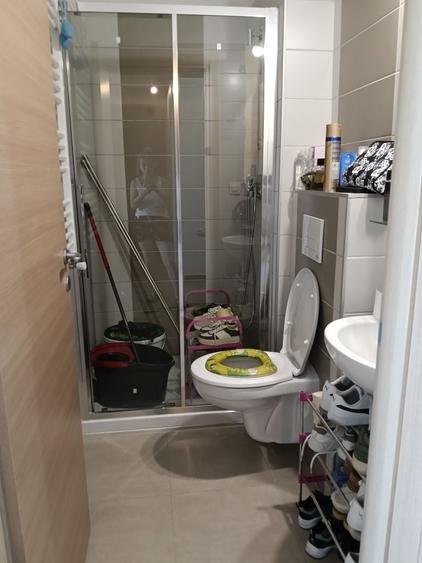 Apartament cu 3 camere decomandat în Olteni